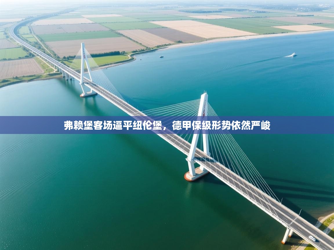 弗赖堡客场逼平纽伦堡，德甲保级形势依然严峻  第2张