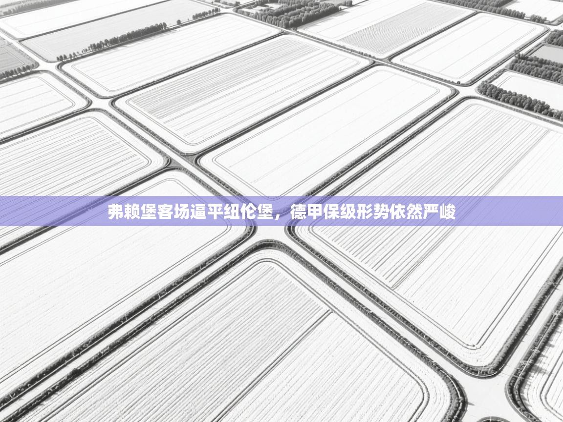 弗赖堡客场逼平纽伦堡，德甲保级形势依然严峻  第1张