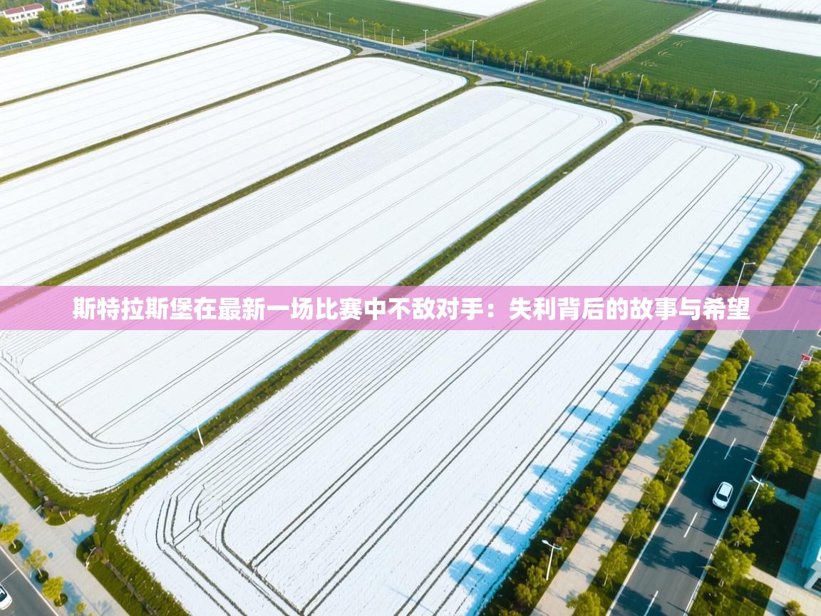 斯特拉斯堡在最新一场比赛中不敌对手：失利背后的故事与希望  第2张