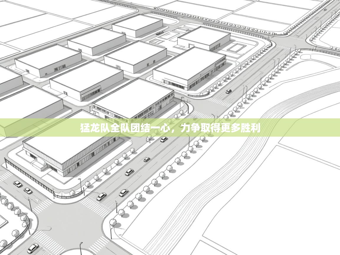 猛龙队全队团结一心,力争取得更多胜利 第1张