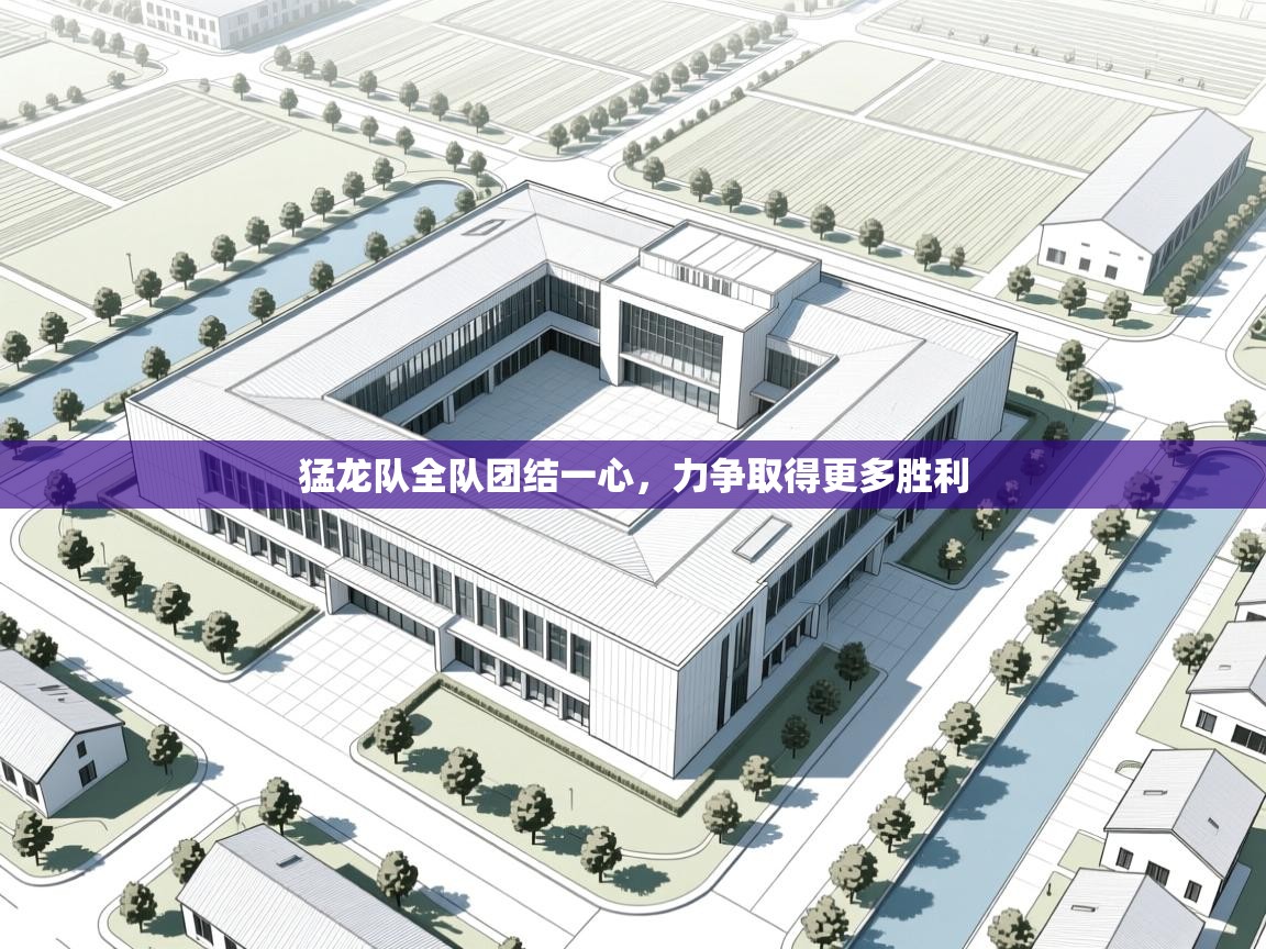 猛龙队全队团结一心,力争取得更多胜利 第2张
