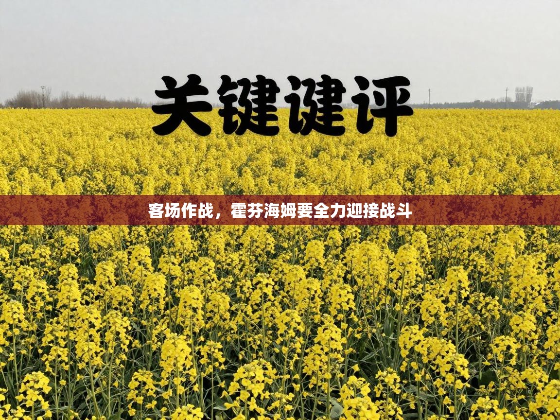 客场作战,霍芬海姆要全力迎接战斗 第1张